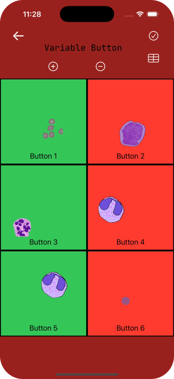 Product demonstration